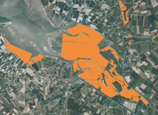 overview